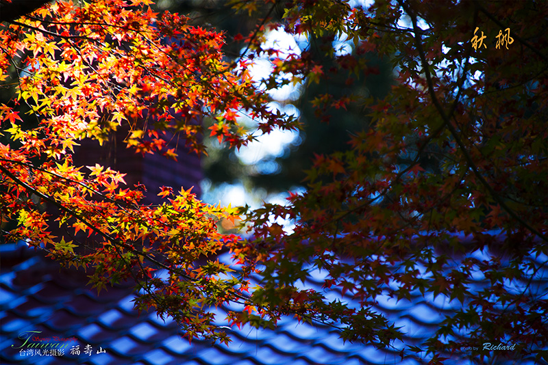 http://i.dcview.tw/gallery/201211/b333411fc806d72e2906ba3e49c5ad2f.jpg