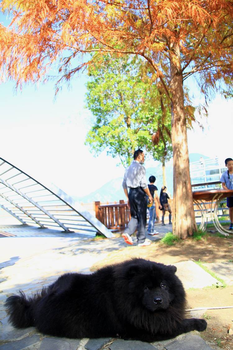 http://i.dcview.tw/gallery/201211/b650a0c5afb1d33e505d398e6d280815.jpg