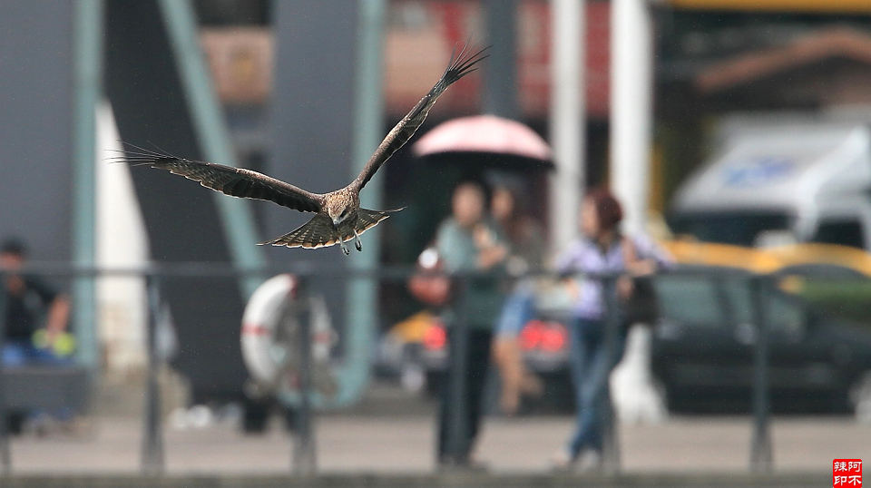 http://i.dcview.tw/gallery/201211/bbbadb16cb579f8ce145cf8820f33cad.jpg