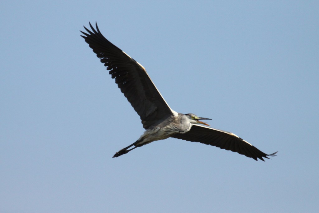 http://i.dcview.tw/gallery/201211/bdf565efbfb8a2750c275207bcb6d887.jpg