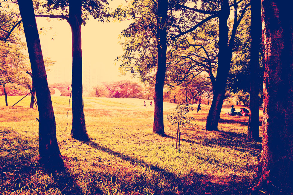 http://i.dcview.tw/gallery/201211/be4237f74a4fcd502558c21ffdee5a78.jpg