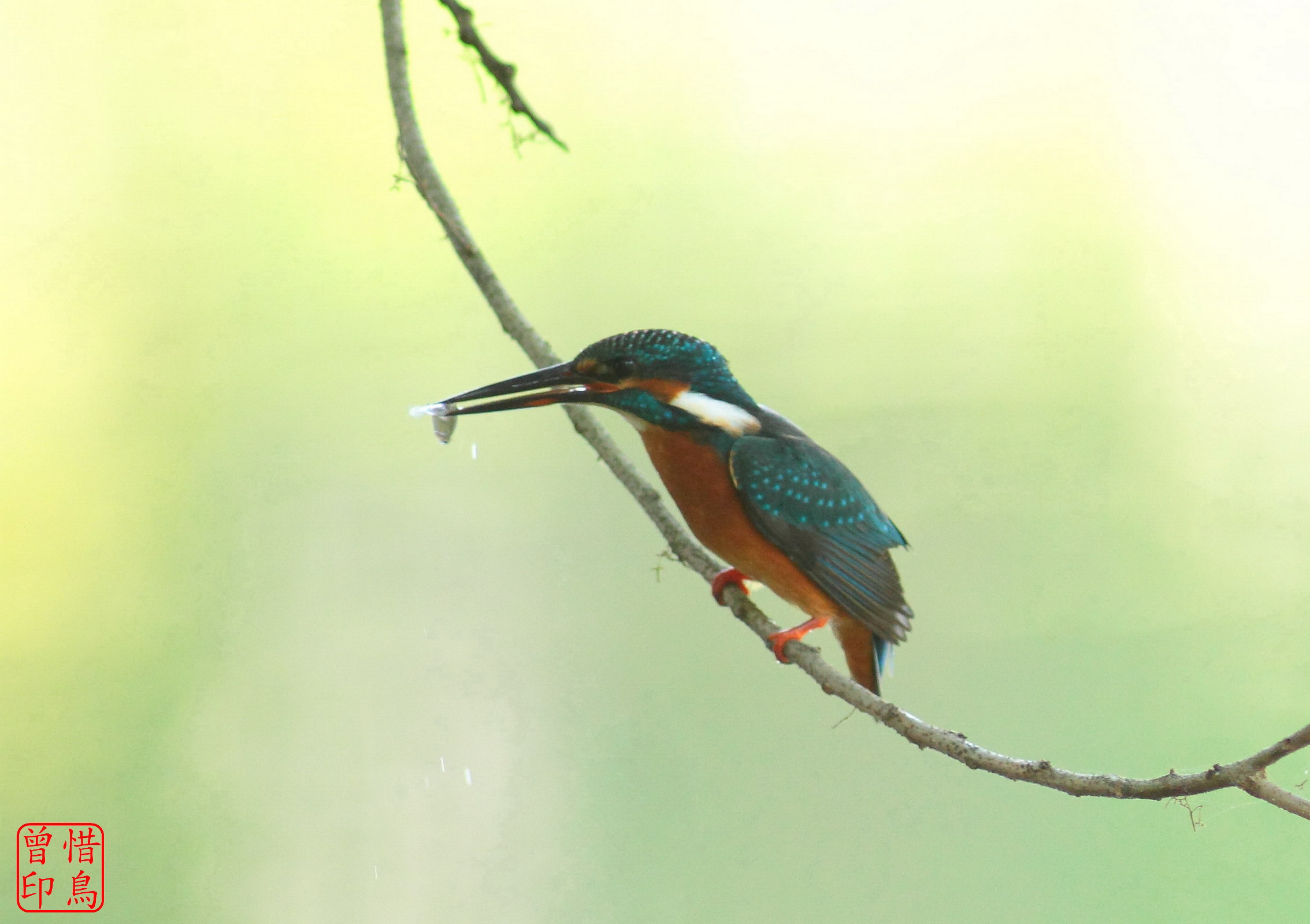 http://i.dcview.tw/gallery/201211/c0a4346123d4c4ec121922d16bb10b4e.jpg