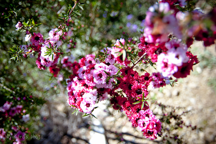 http://i.dcview.tw/gallery/201211/d1c7896fc367f24d74a9bd7bf8b4bbc7.jpg
