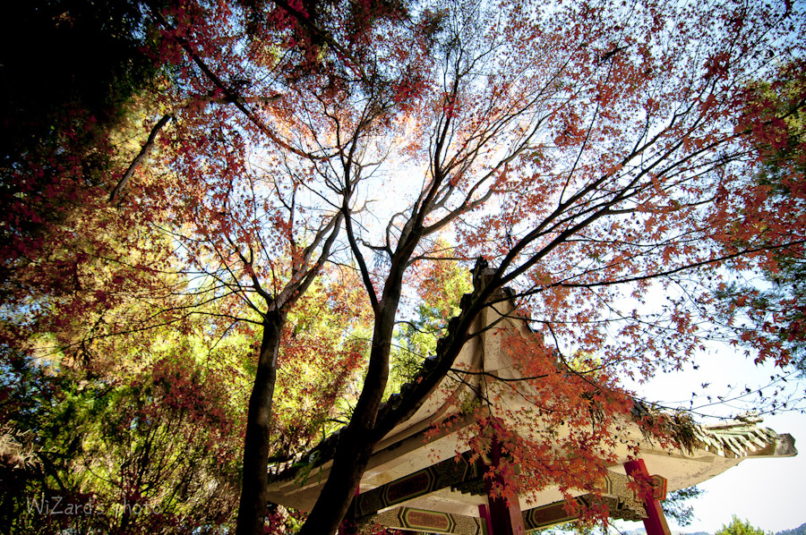 http://i.dcview.tw/gallery/201211/ddee4976413252706af36a6102a80f3e.jpg