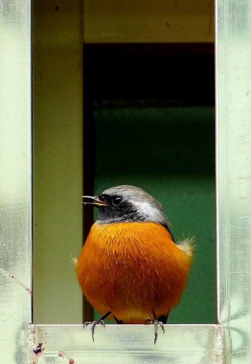 http://i.dcview.tw/gallery/201211/dfdb3cdf5d9ee22ab44b23ad651c3b48.jpg