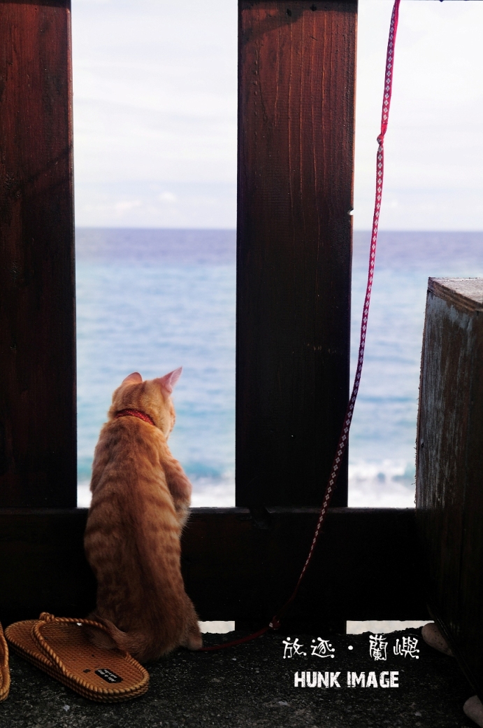 http://i.dcview.tw/gallery/201211/e31c103fa3a07a424273353d412cfedb.jpg