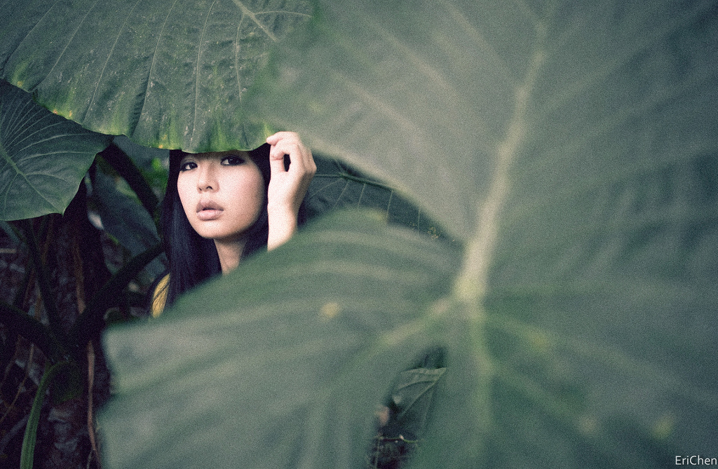http://i.dcview.tw/gallery/201211/ea784b46b768efdd7e1ec112319e3f20.jpg