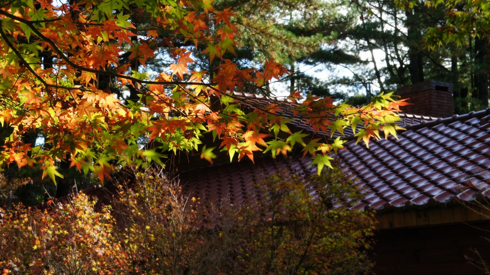 http://i.dcview.tw/gallery/201211/ed0c1d5b449a86e2508f1762f2dc8deb.jpg