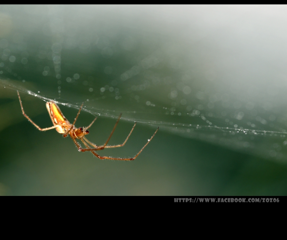 http://i.dcview.tw/gallery/201211/f91c624256b1f422741997455be4319a.jpg