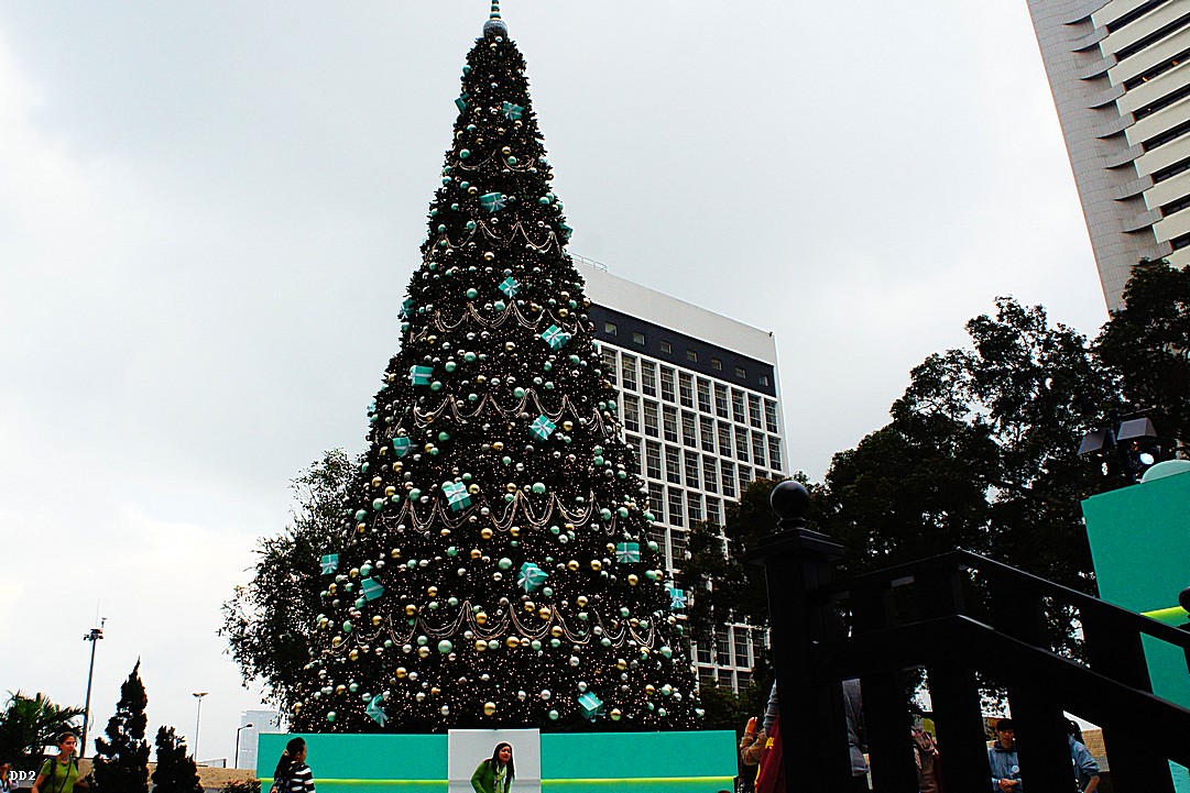 http://i.dcview.tw/gallery/201212/02071ebc99f109733f6a4281014cff02.jpg