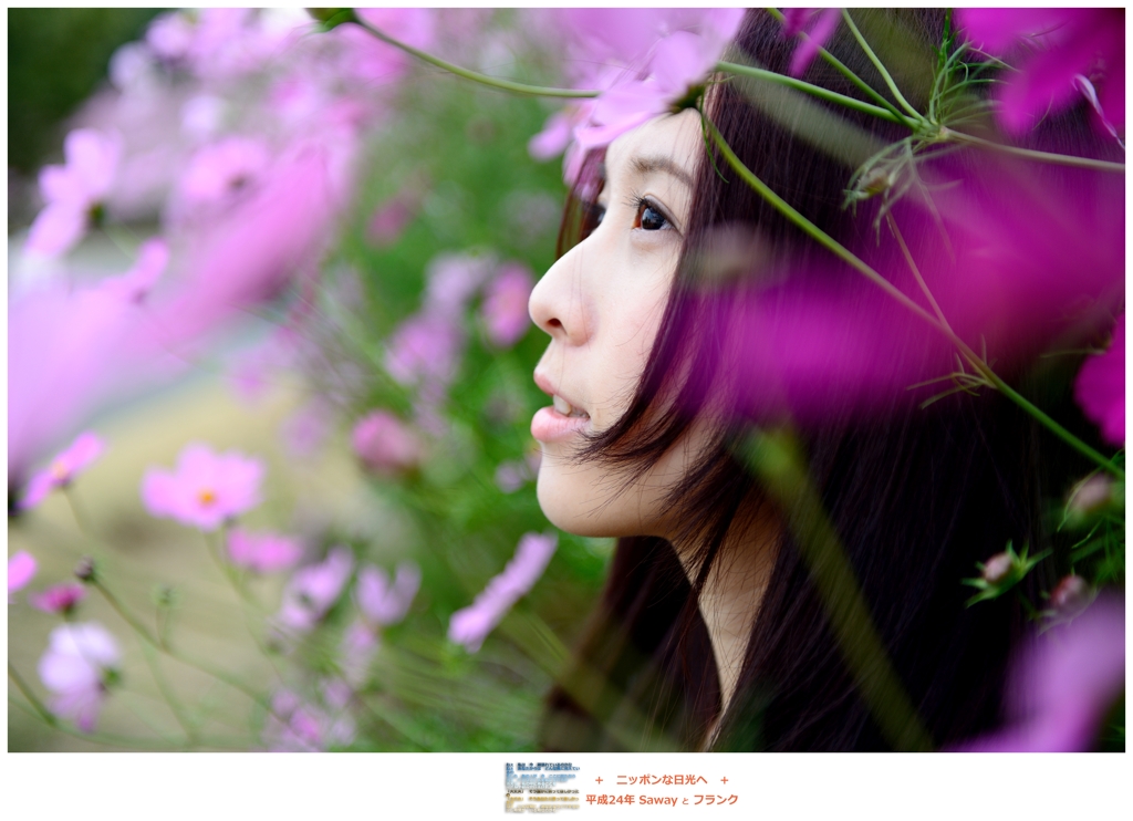 http://i.dcview.tw/gallery/201212/03374330c64ad6ee31c611ee5ac8e827.jpg