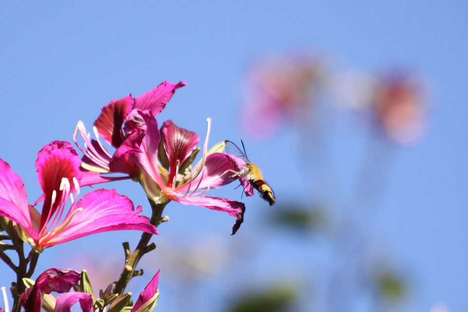 http://i.dcview.tw/gallery/201212/05016911e329153d47515f7472da5e6b.jpg
