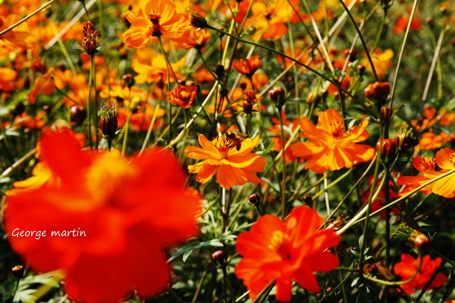 http://i.dcview.tw/gallery/201212/077b586da5b09ffe1d60a6eb4f18e8c6.jpg