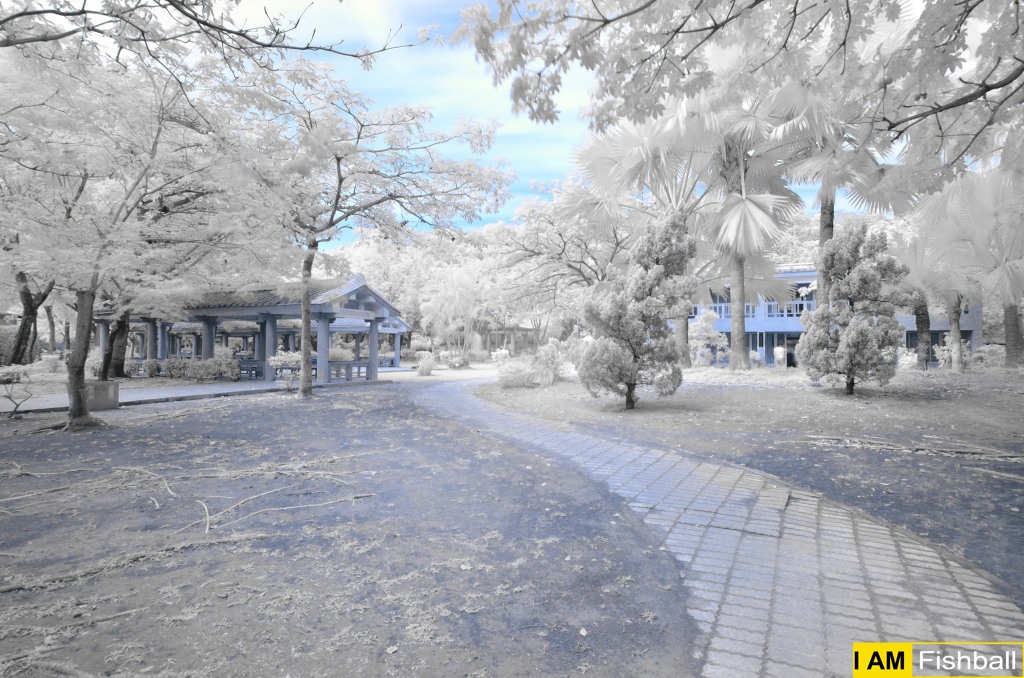 http://i.dcview.tw/gallery/201212/0820128e678e8d4e1f40a698b128b960.jpg