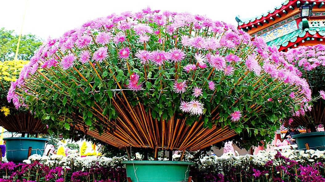 http://i.dcview.tw/gallery/201212/0a49a02ed71a1206d111521c6cc7d1bd.jpg