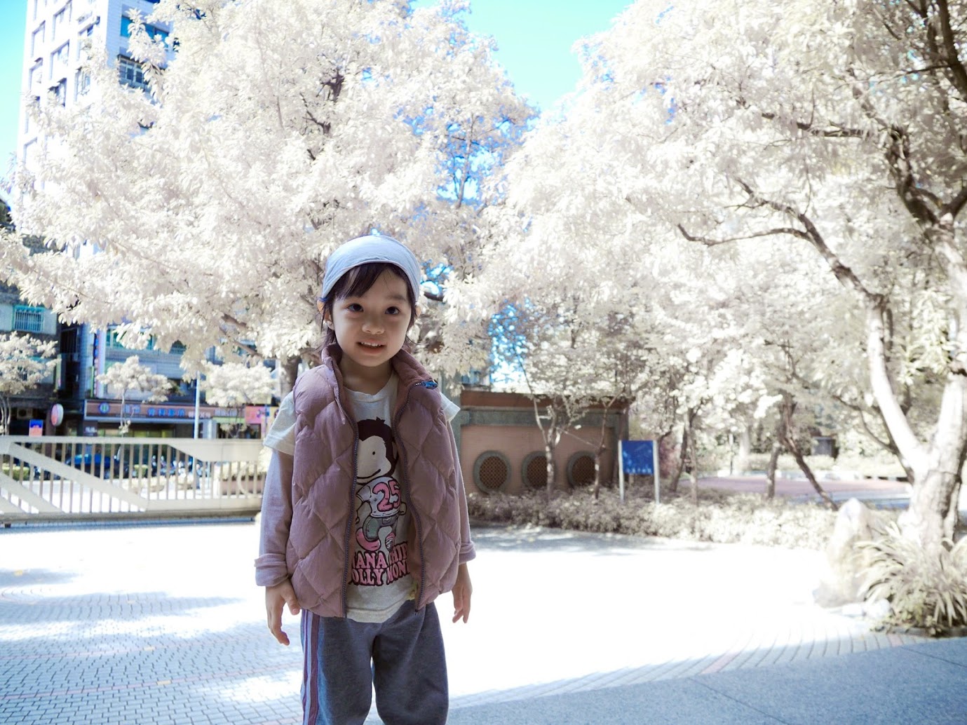 http://i.dcview.tw/gallery/201212/0a9024fda51bf5e038789cb4df29f70b.jpg
