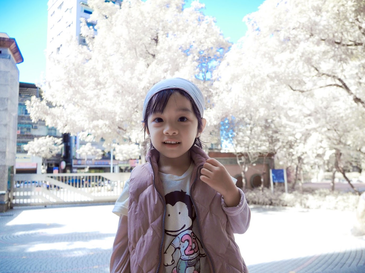 http://i.dcview.tw/gallery/201212/106c65ac99ab3b80478250cd93fbd211.jpg