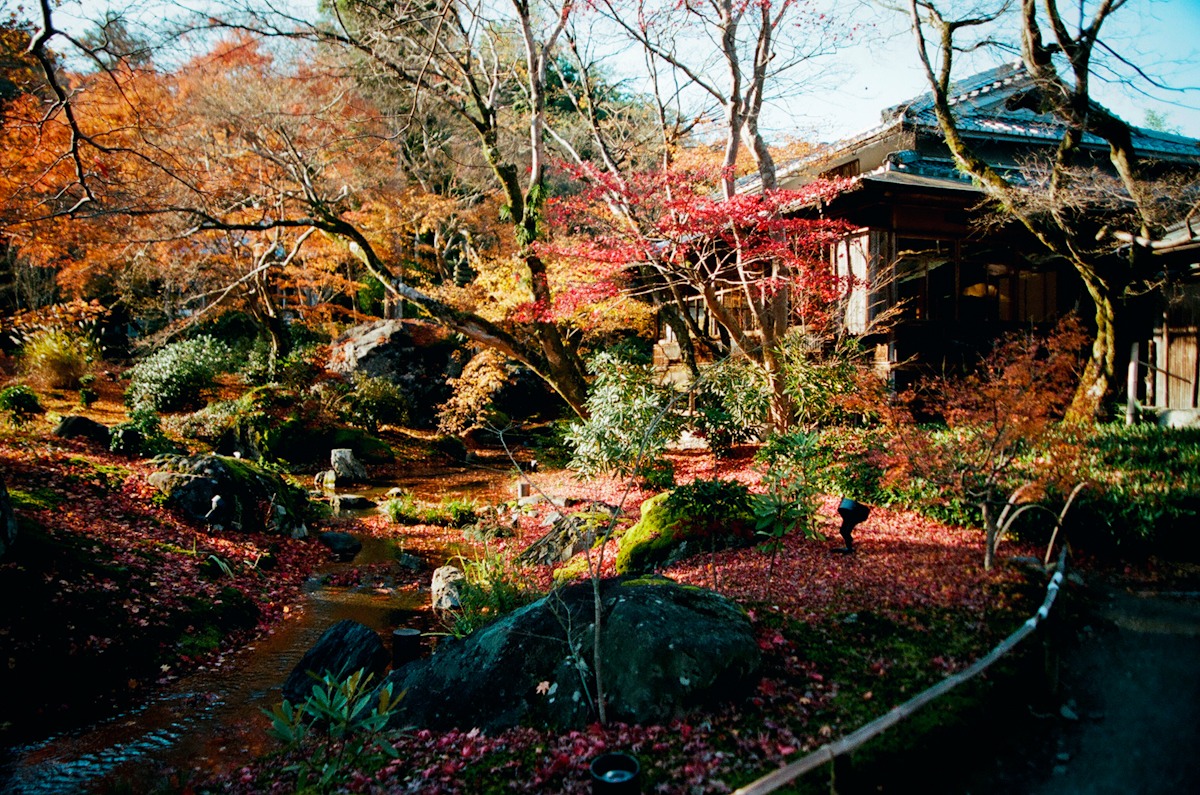 http://i.dcview.tw/gallery/201212/107ce19962cc6a9782b7aa7f607504f4.jpg