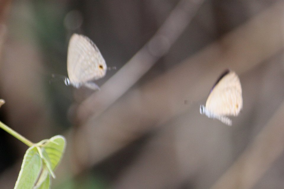 http://i.dcview.tw/gallery/201212/111828e1fa0ff307ca677e84044ea810.jpg