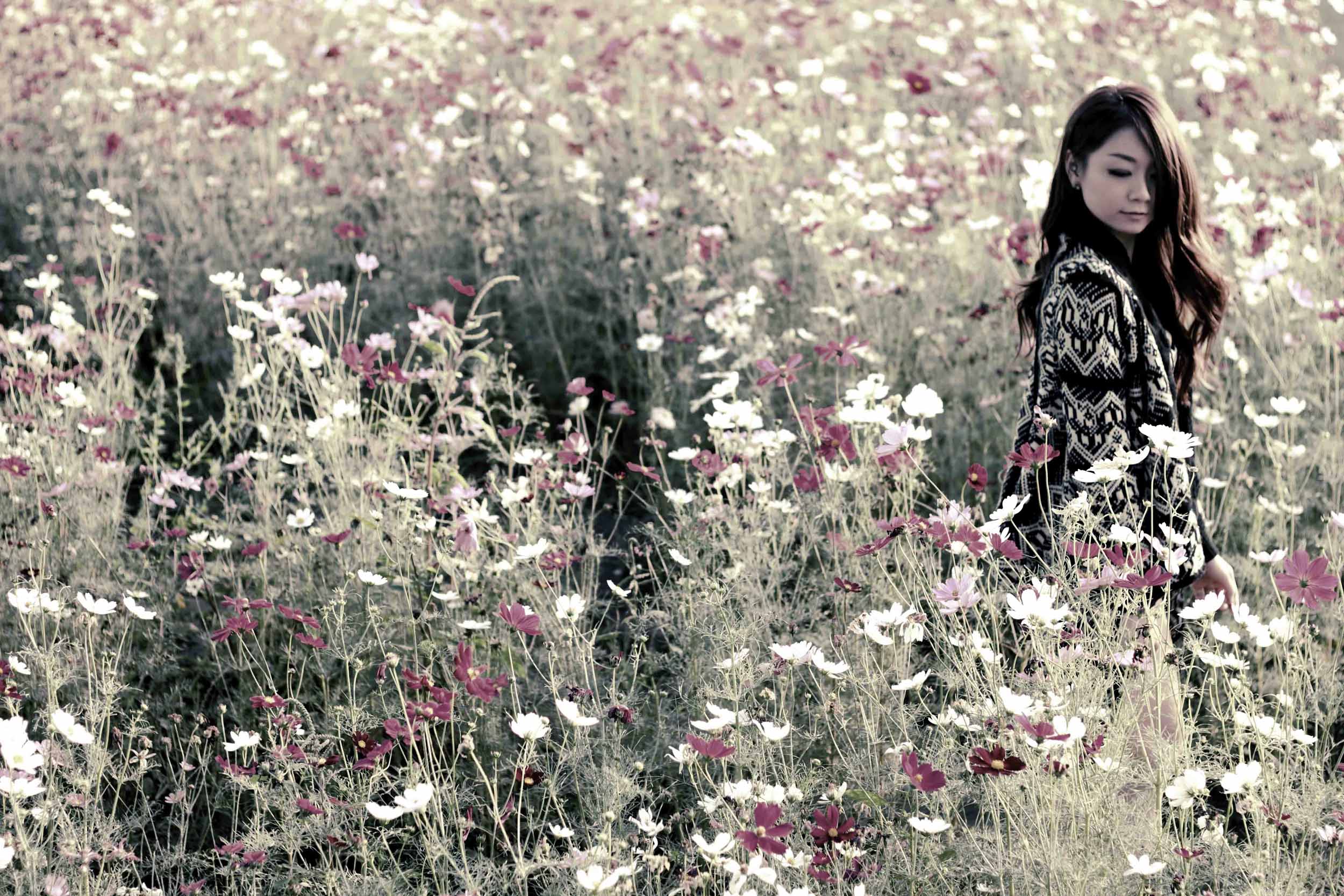 http://i.dcview.tw/gallery/201212/1c3ca14c6456c20205bda0aeb54704a9.jpg