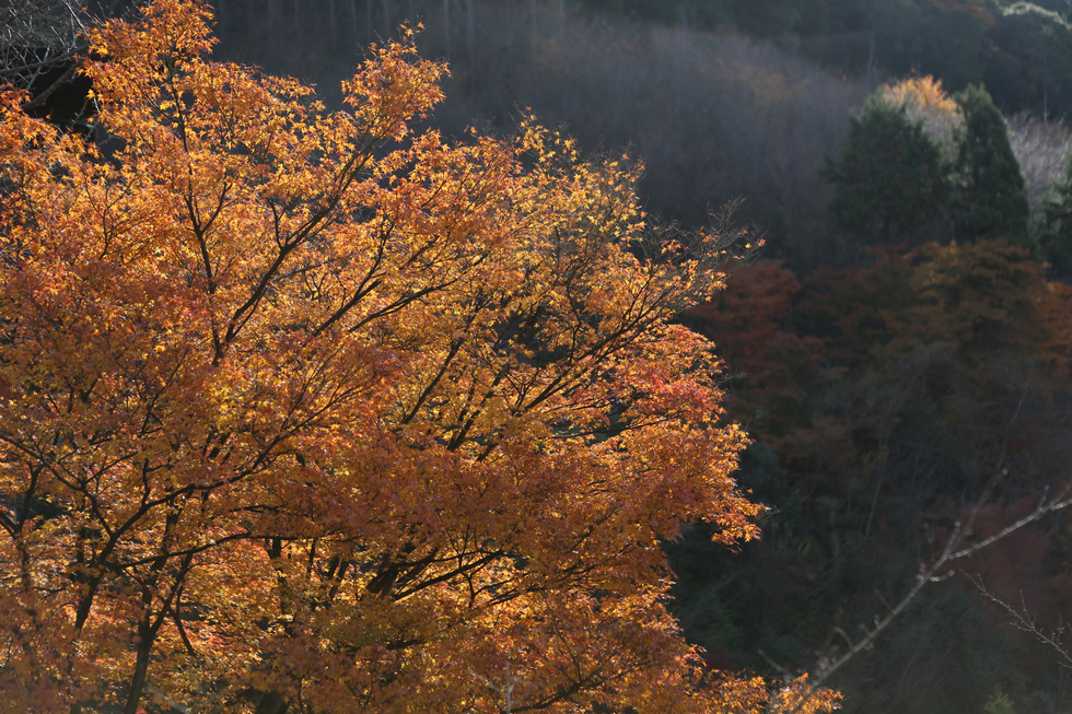 http://i.dcview.tw/gallery/201212/1e10cff4817d132819aa644004bb2e3c.jpg