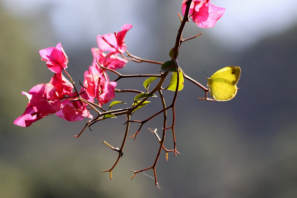 http://i.dcview.tw/gallery/201212/23954b22b6f1b6b3e37443d05cb91c96.jpg