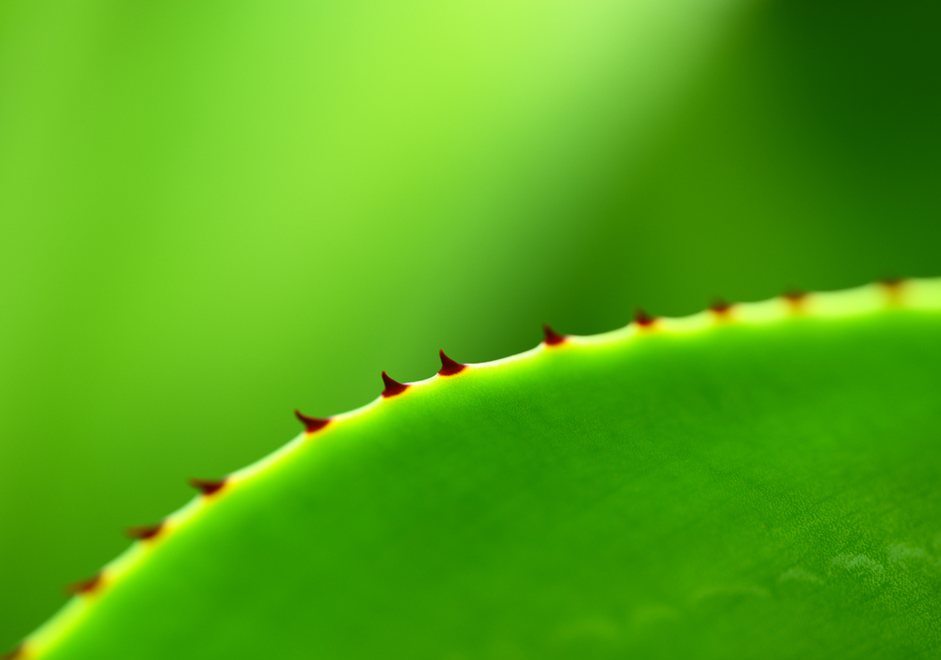 http://i.dcview.tw/gallery/201212/2c1c9cb9fbe6f5fdec7d70db36659d9c.jpg