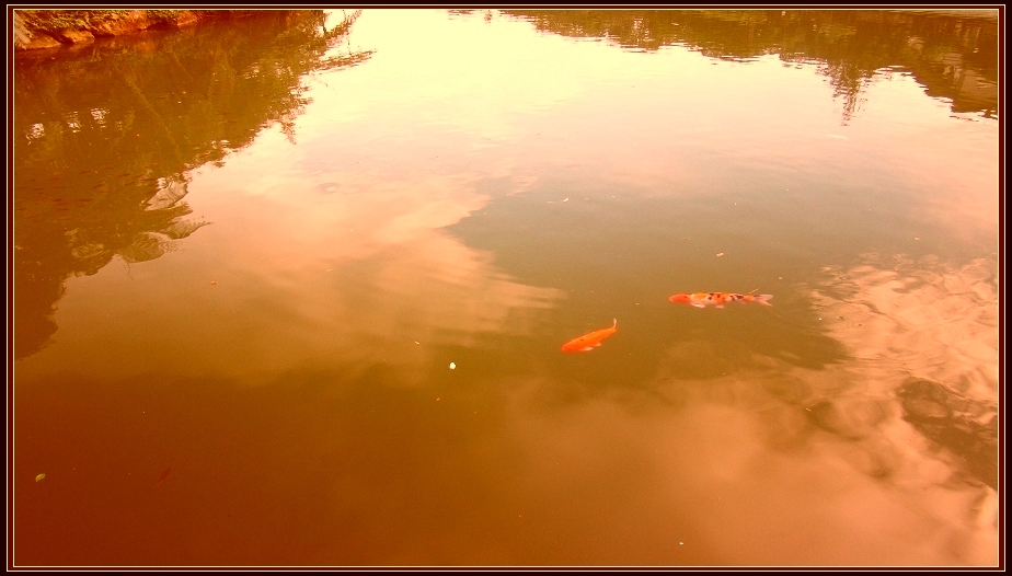 http://i.dcview.tw/gallery/201212/2f3fd1dd59c198a12d802ba049d1ffe1.jpg