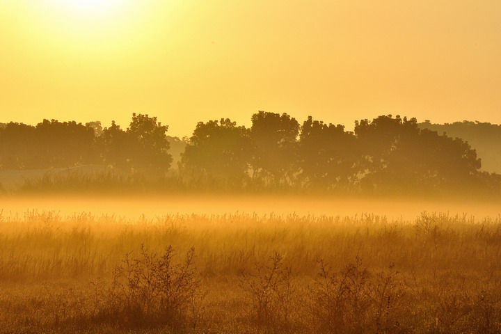 http://i.dcview.tw/gallery/201212/2fa3b5b83626c4ccf1420921620b9570.jpg