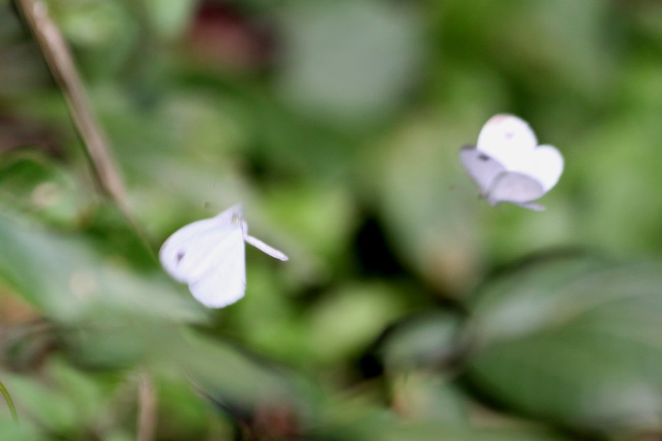 http://i.dcview.tw/gallery/201212/310e9c4fd3f6c557fbd48cbd0996d28b.jpg