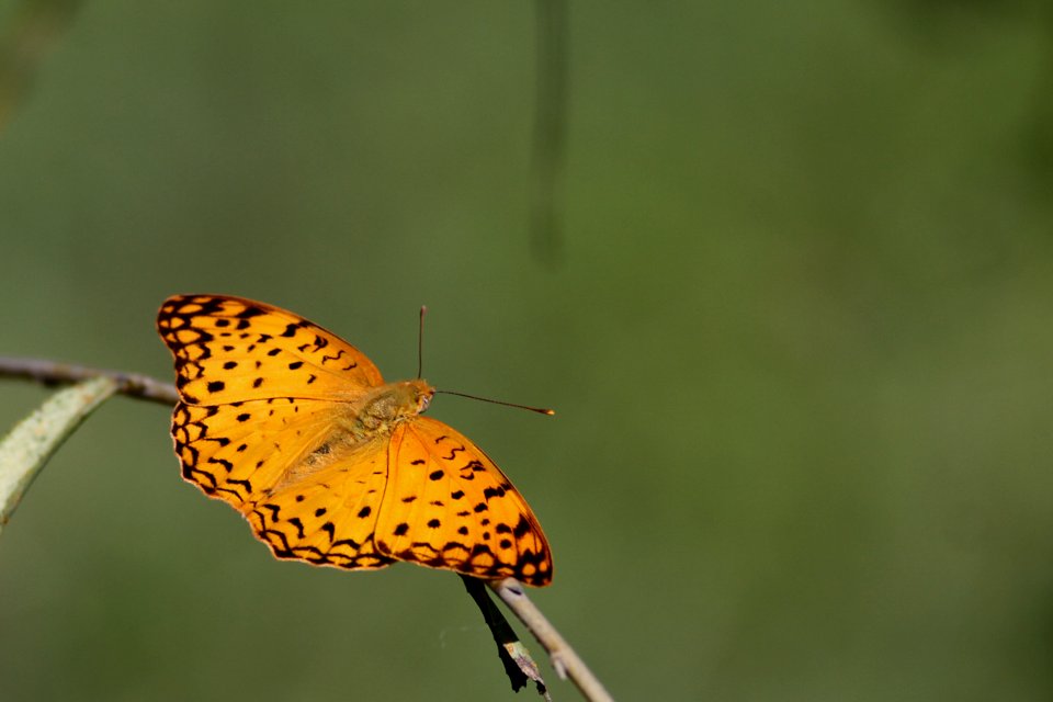 http://i.dcview.tw/gallery/201212/3e1a4ec3b5c126dbebab5ae1661f7844.jpg