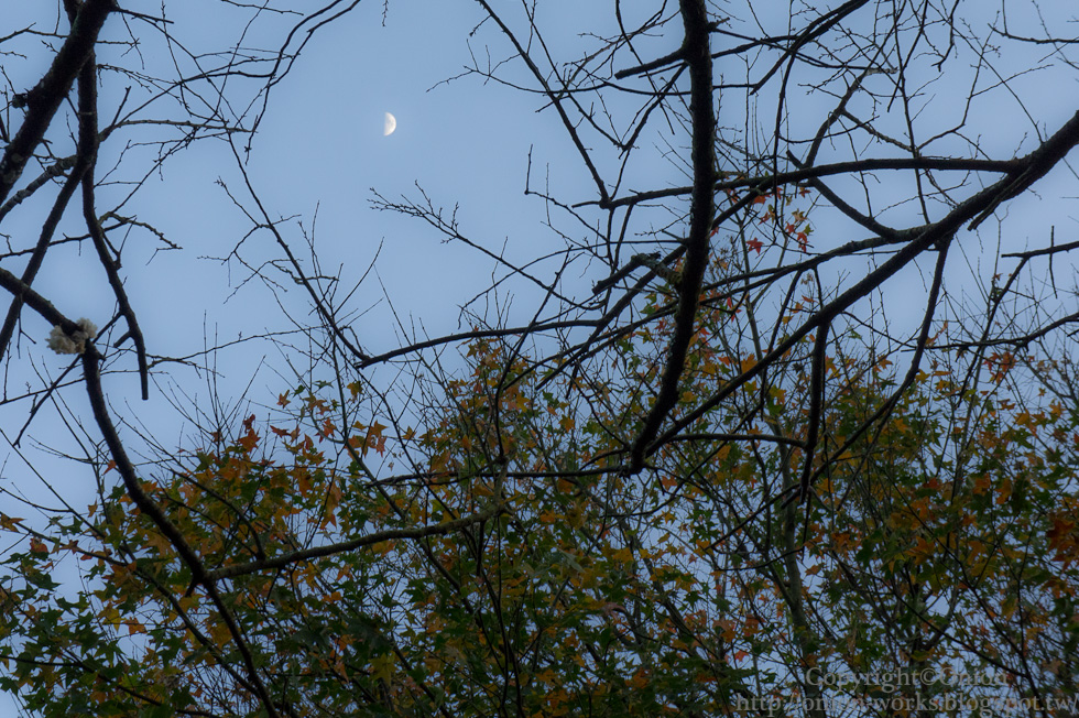 http://i.dcview.tw/gallery/201212/4267a30a3a89295b5b8d4f22e0463837.jpg
