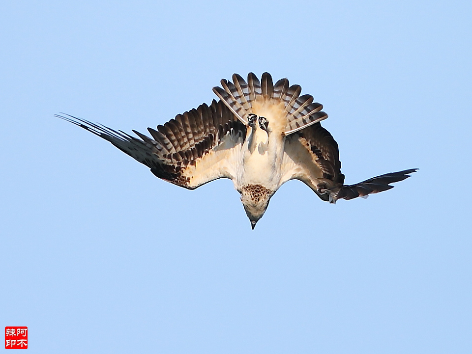 http://i.dcview.tw/gallery/201212/500d786325ea6071e486dff2ae16dadf.jpg