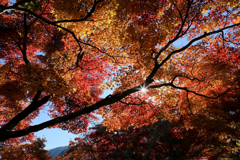 http://i.dcview.tw/gallery/201212/506045bcc50ccd7b718d578603a991e4.jpg