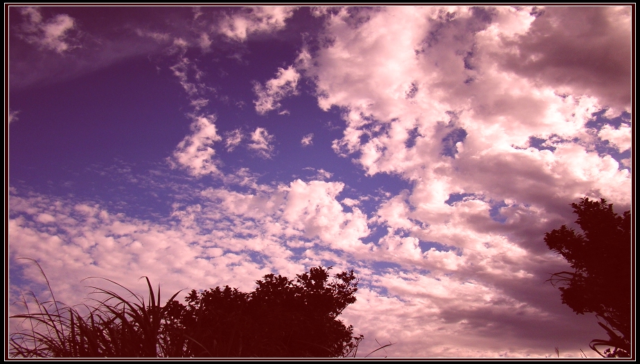 http://i.dcview.tw/gallery/201212/5271ce44302fee645b6b84fa1846efdb.jpg