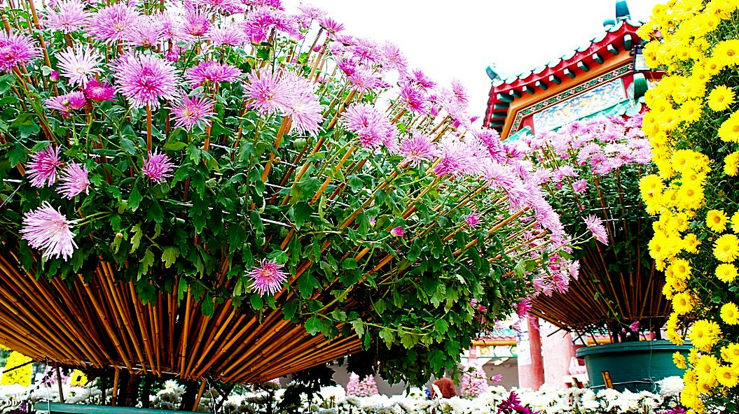 http://i.dcview.tw/gallery/201212/532ef47d90046af64380f8ead0272282.jpg