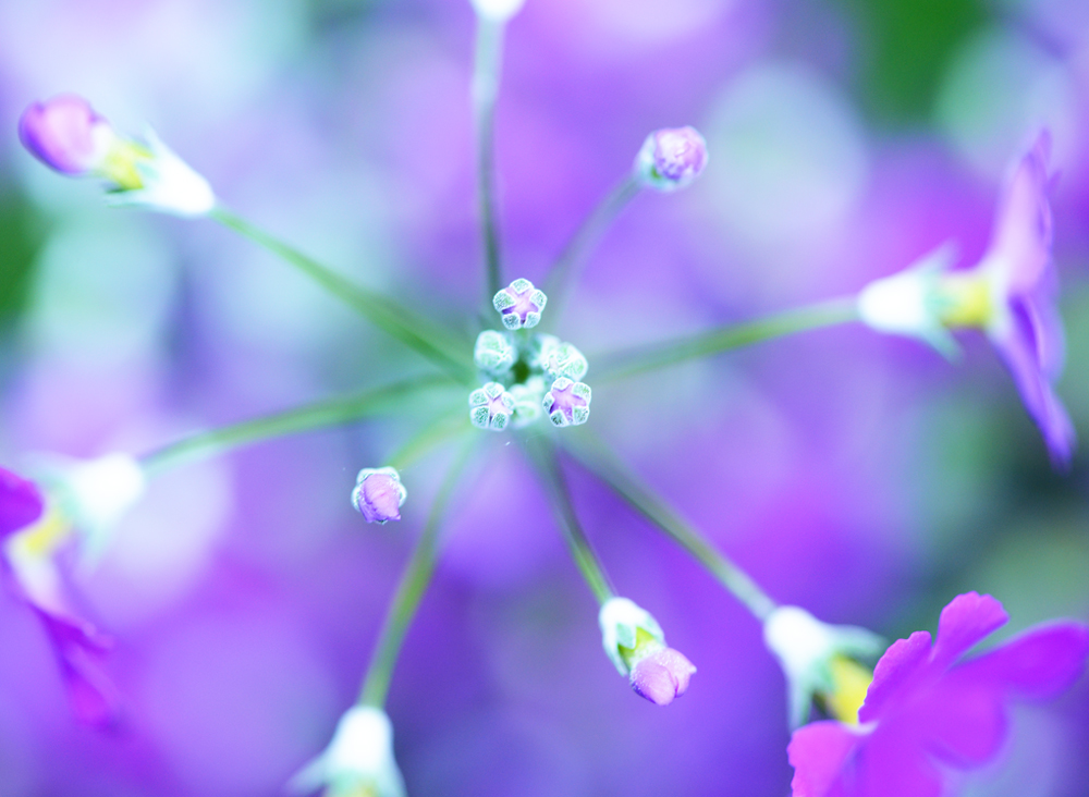 http://i.dcview.tw/gallery/201212/550bec8b0a7ebbcfe6a04055dd3969f1.jpg