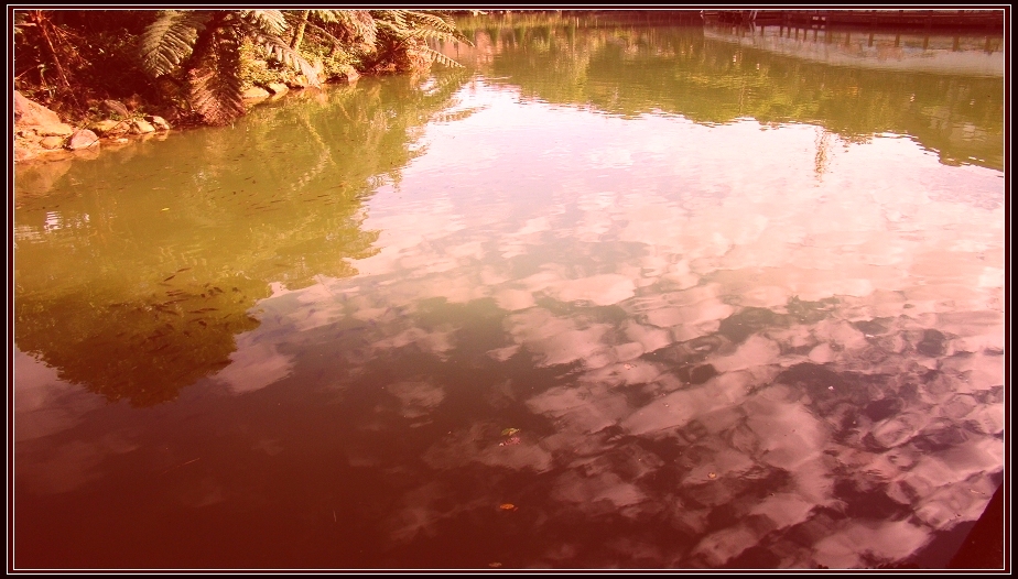 http://i.dcview.tw/gallery/201212/5c309d6d8548859ac05ace4cd51c31f6.jpg