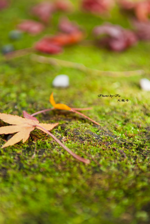 http://i.dcview.tw/gallery/201212/5e9a2f9dac547487d8ddd29e895a9c44.jpg
