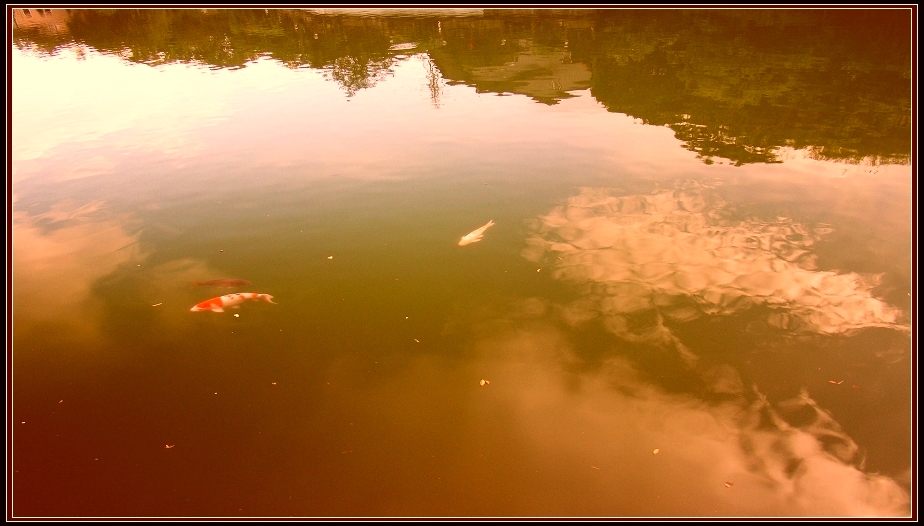 http://i.dcview.tw/gallery/201212/5f66da0d3d478537f422173cb77e861f.jpg