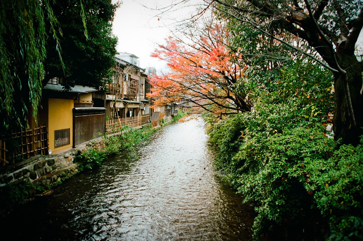 http://i.dcview.tw/gallery/201212/62d90ee976659e58588ec7a27e501b6b.jpg
