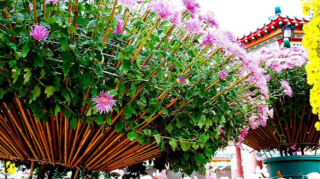 http://i.dcview.tw/gallery/201212/655c74e832a6715e3aa46461890e8625.jpg