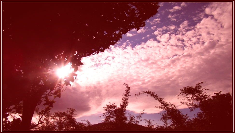 http://i.dcview.tw/gallery/201212/672050d0b53dc62983d2fbff50743c57.jpg