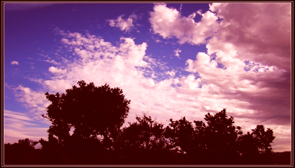 http://i.dcview.tw/gallery/201212/69594ccc5c7b3f6c9093ff9004439915.jpg