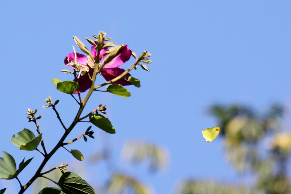 http://i.dcview.tw/gallery/201212/6cf24481c00c5a6ebc8293c2d7e56947.jpg