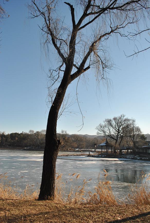 http://i.dcview.tw/gallery/201212/6dbed4b9d5620a05b5f12ba3fe8c4600.jpg