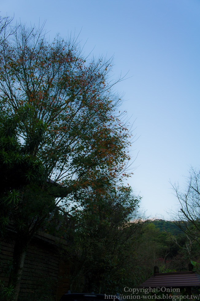 http://i.dcview.tw/gallery/201212/703c95e9caed8b4bf419d0846095e175.jpg