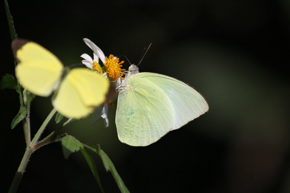 http://i.dcview.tw/gallery/201212/81373b299ed0e5cbcc0e9b8b84359360.jpg