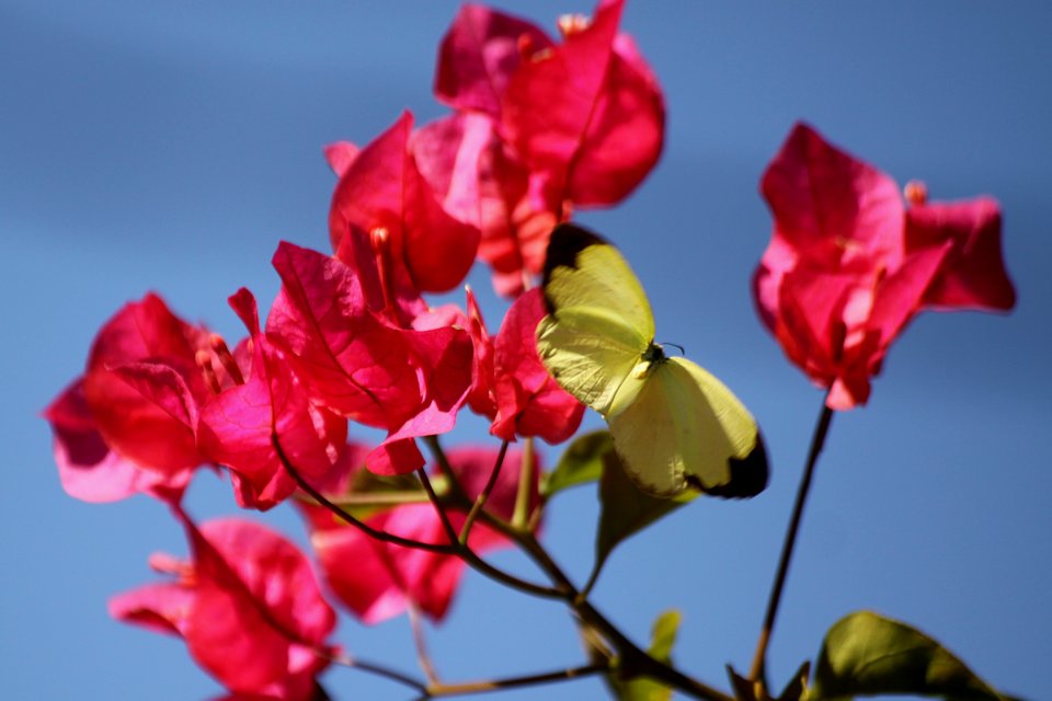 http://i.dcview.tw/gallery/201212/84e02796843f209e36e4234d3b9abe22.jpg