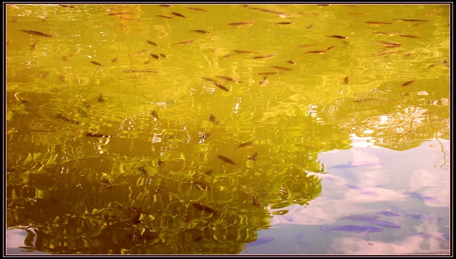 http://i.dcview.tw/gallery/201212/8c5bbd0e83c4356e1eaa9d3f1bc9f569.jpg